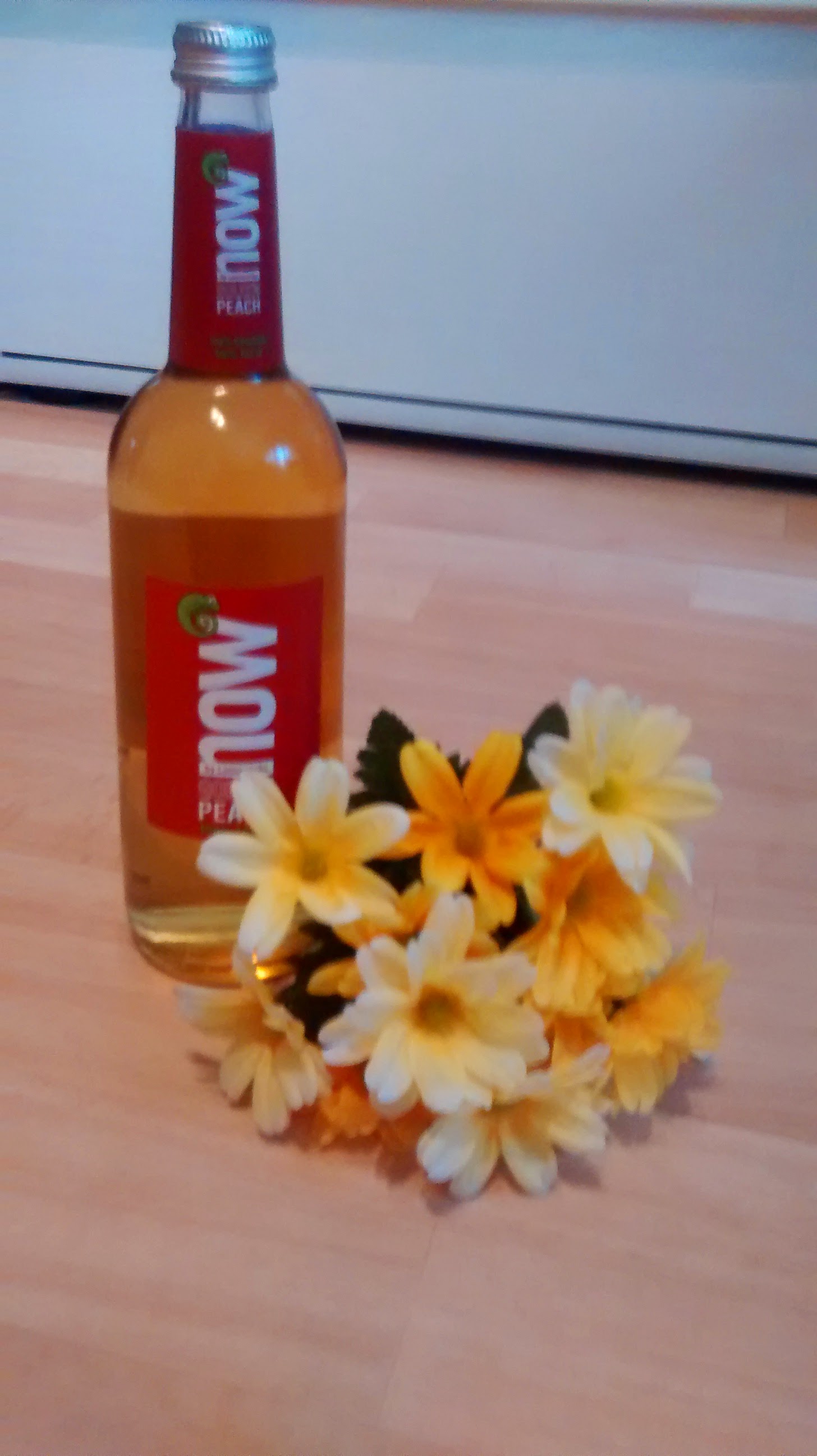 Bou´s und Ness Testbox