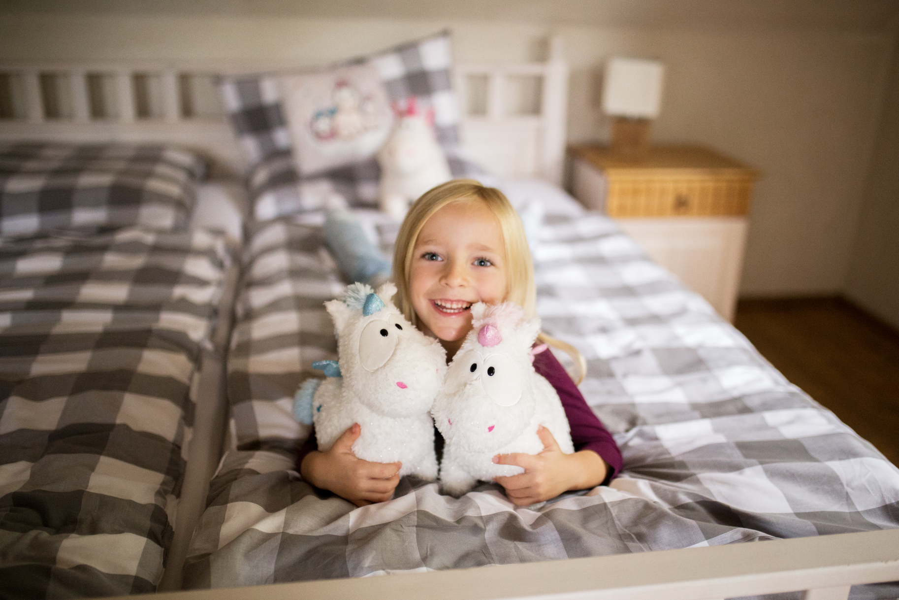 Bou´s und Ness Testbox