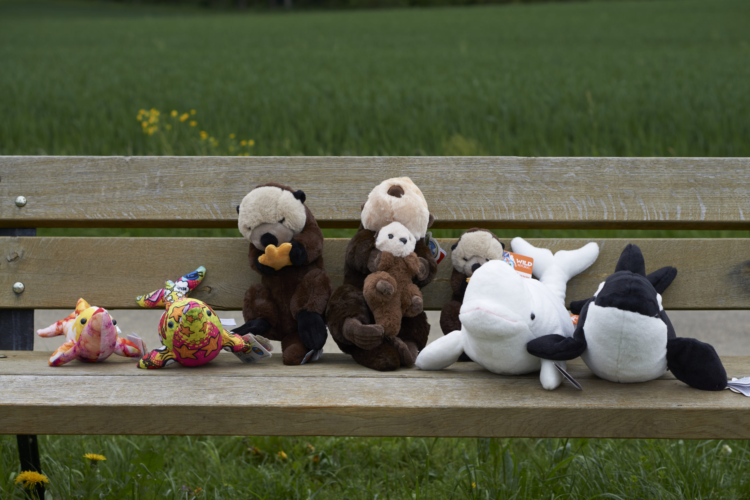 Bou´s und Ness Testbox