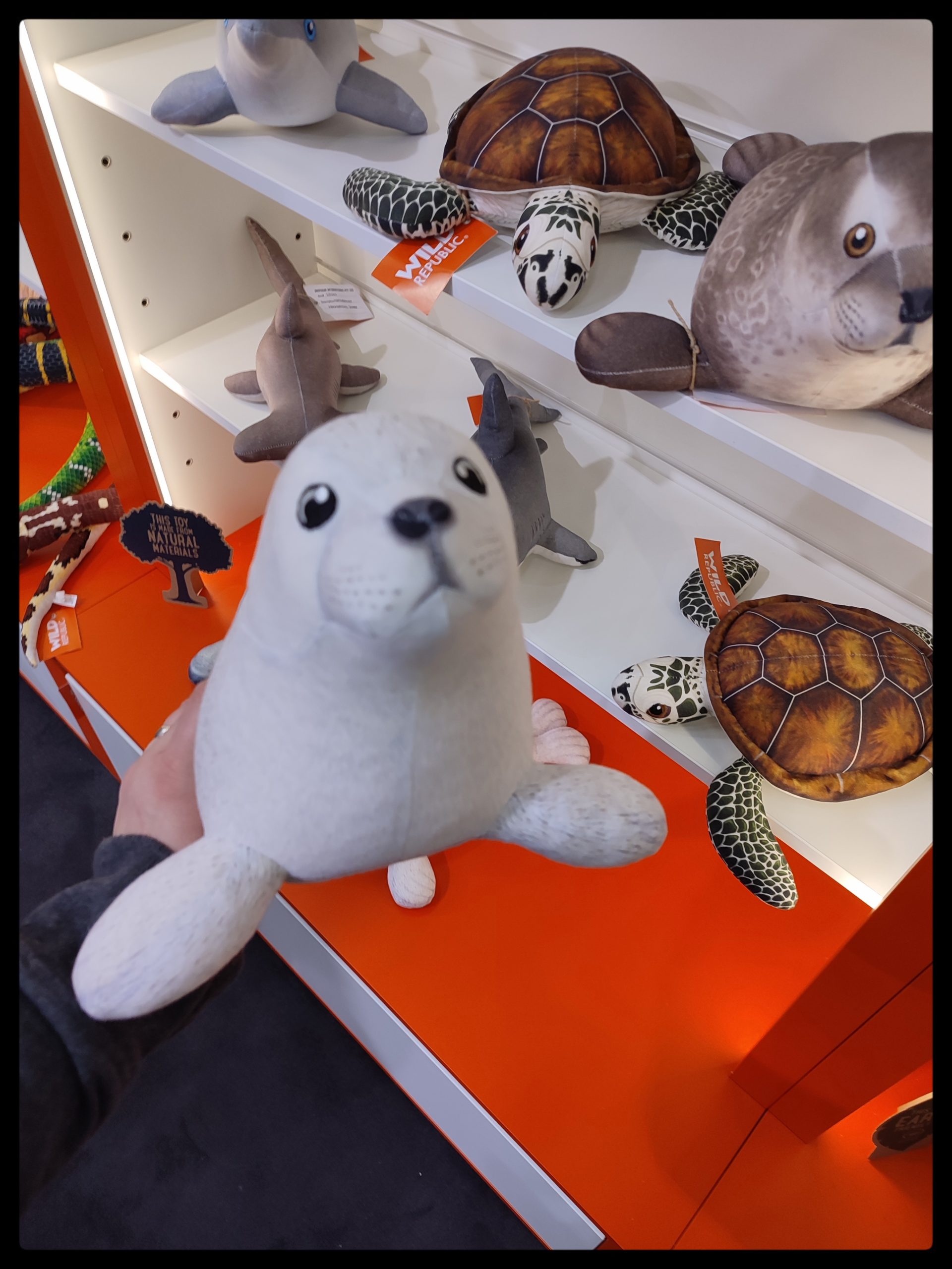 Bou´s und Ness Testbox