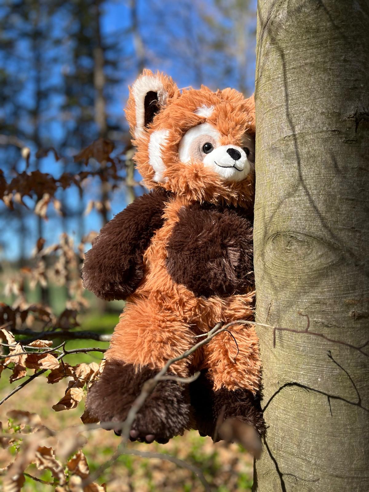 Bou´s und Ness Testbox