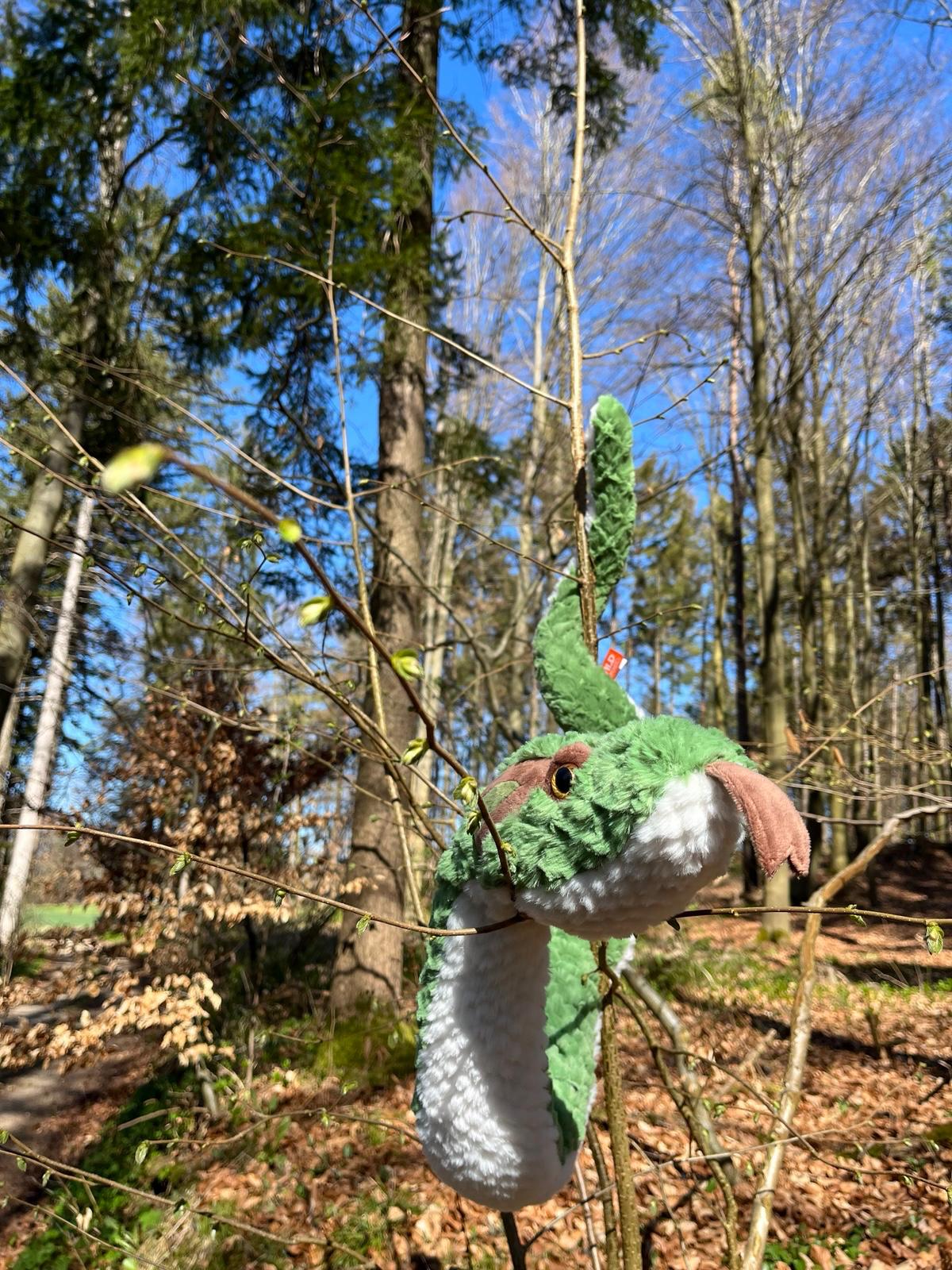Bou´s und Ness Testbox