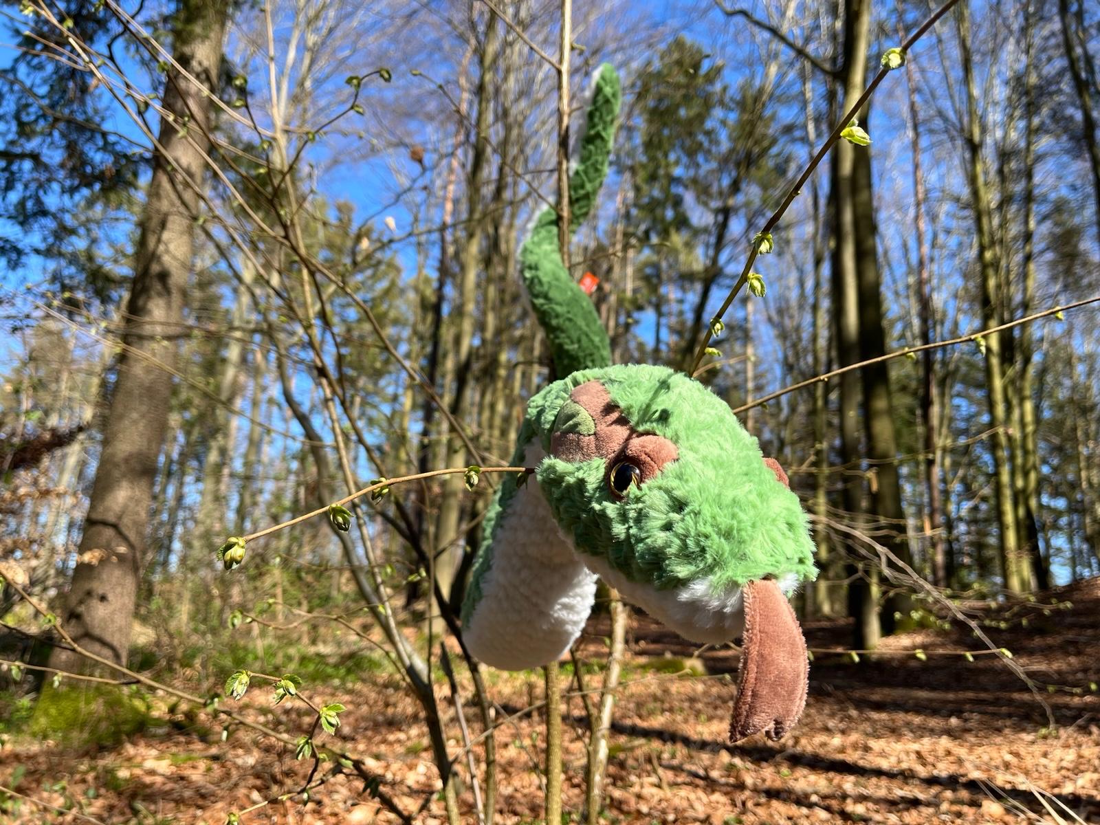 Bou´s und Ness Testbox