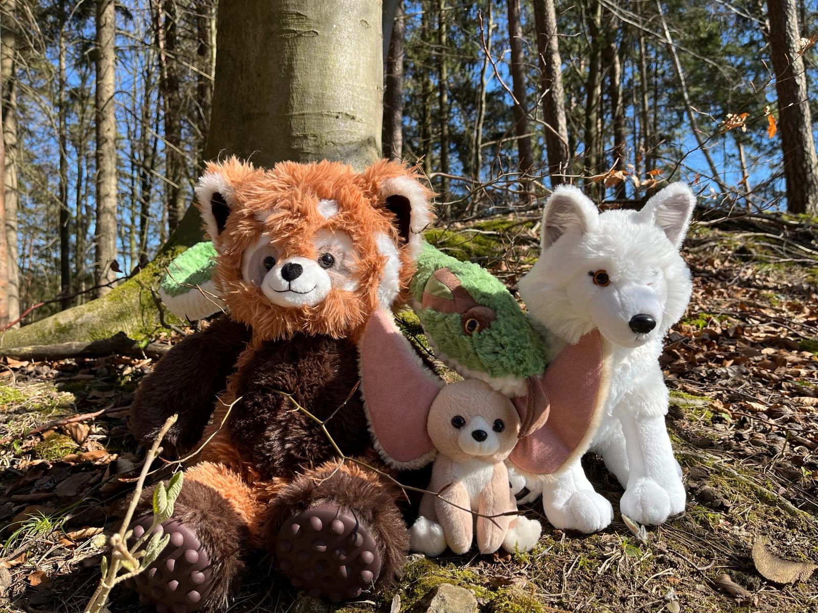 Bou´s und Ness Testbox