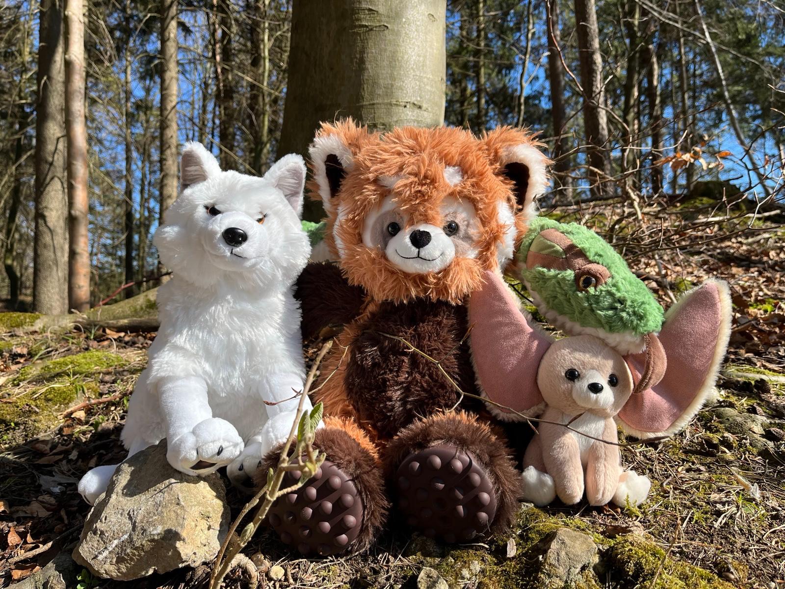 Bou´s und Ness Testbox