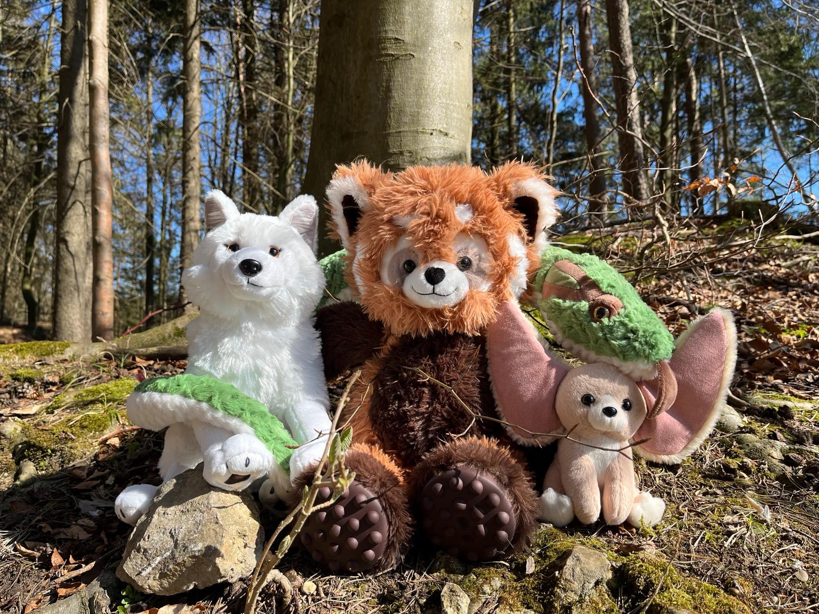 Bou´s und Ness Testbox