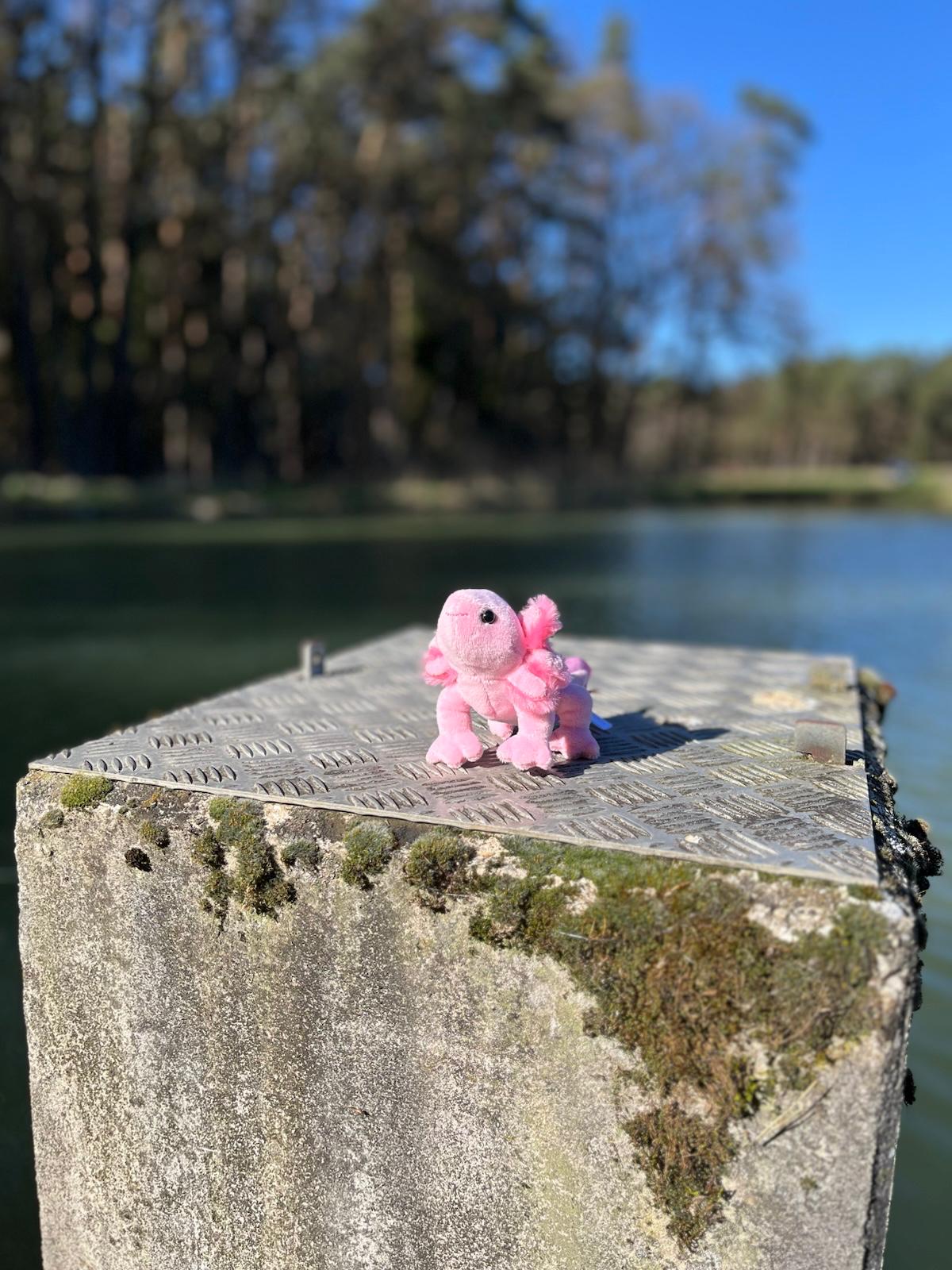 Bou´s und Ness Testbox