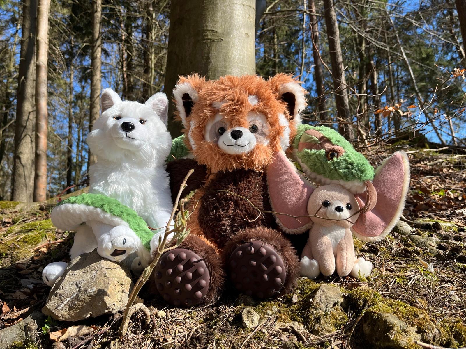 Bou´s und Ness Testbox