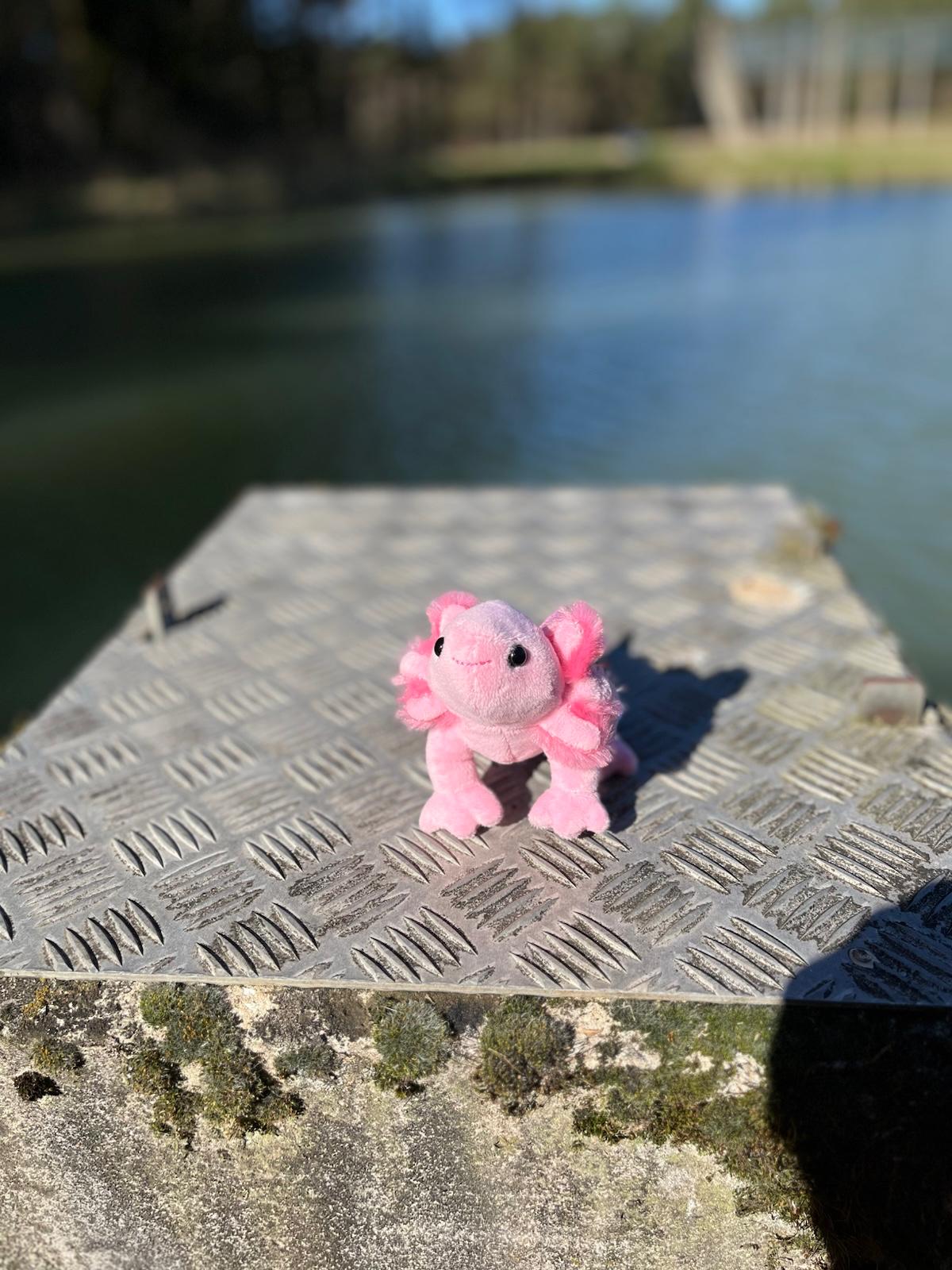 Bou´s und Ness Testbox