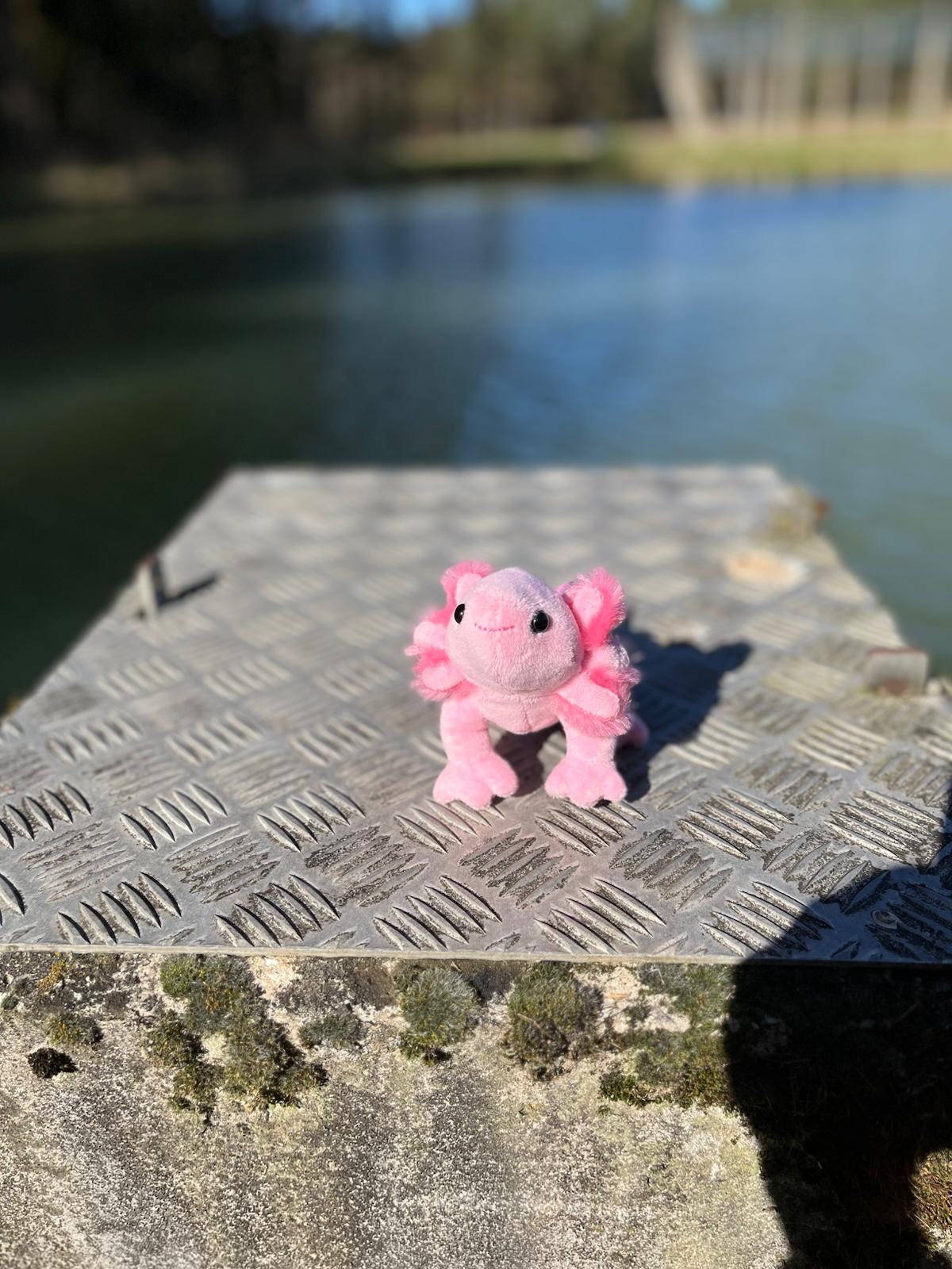 Bou´s und Ness Testbox