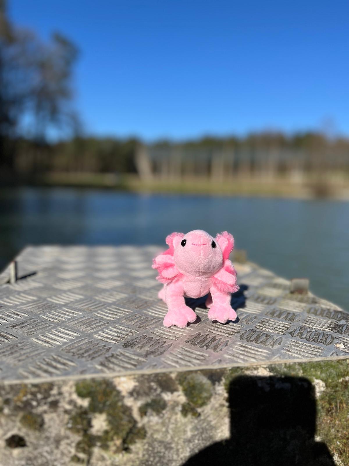 Bou´s und Ness Testbox